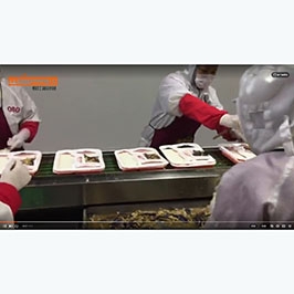 南宁高铁91看片黄色下载