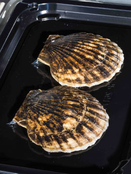 冰冻类 · 气调91看片黄色下载